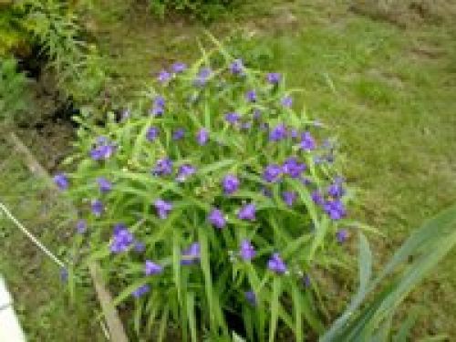 Nokia N86 8Мп – кто на новенького?