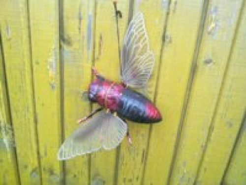 Nokia N86 8Мп – кто на новенького?