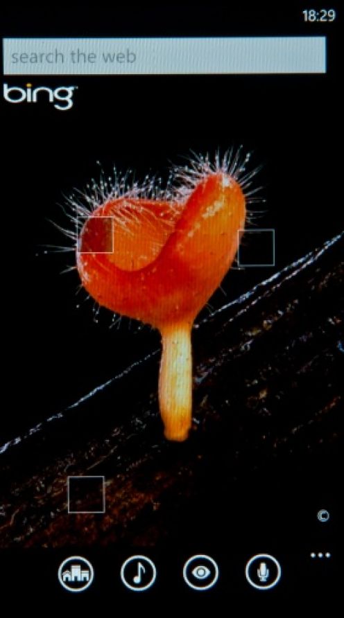 Обзор Windows Phone 7 Mango Экзотический фрукт