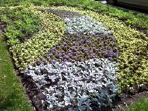 Обзор Sony Ericsson S312