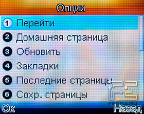 Встроенный браузер Fly Q110 TV