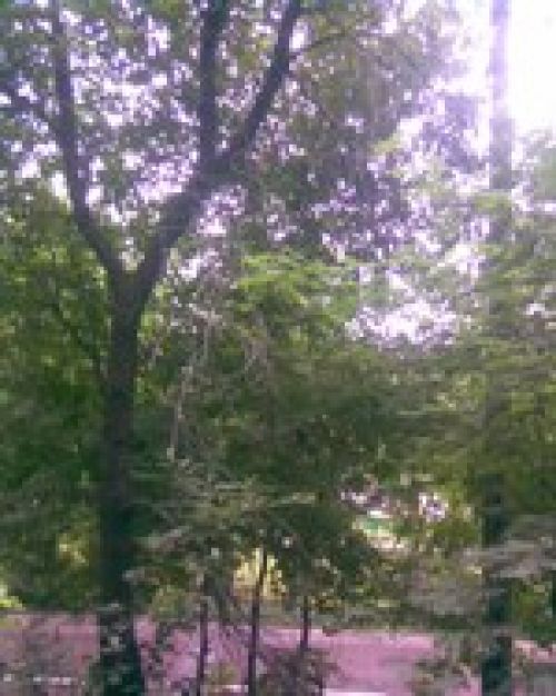 Личный опыт: Nokia 6131 - хороша почти всем Личный опыт: Nokia 6131 - хороша почти всем