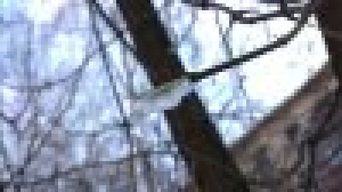 Sony Ericsson Vivaz - примеры фото