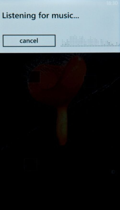 Обзор Windows Phone 7 Mango Экзотический фрукт