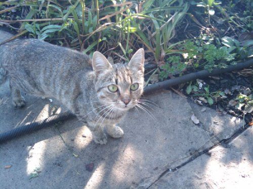 Примеры фото с HTC G1: