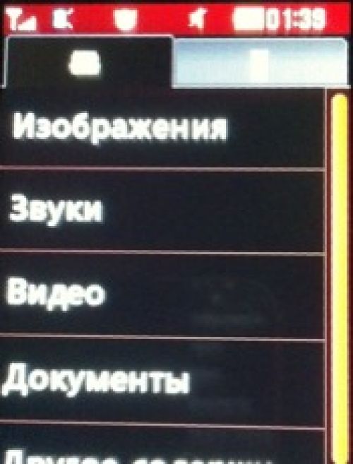 Скриншот LG T300