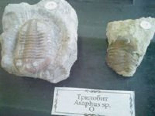 Обзор Sony Ericsson Naite (J105) Обзор Sony Ericsson Naite (J105)