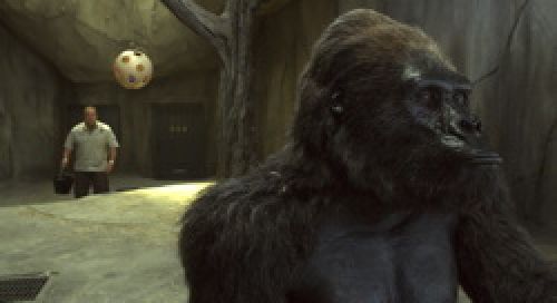 Кадр из фильма &laquo;Мой парень из зоопарка&raquo;