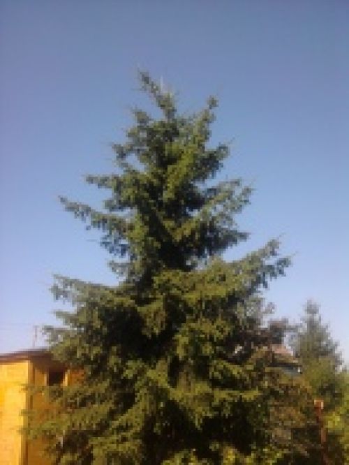 Обзор мобильных телефонов Samsung S5230 и S5600 - сенсорные "близнецы" Обзор мобильных телефонов Samsung S5230 и S5600 - сенсорные "близнецы"