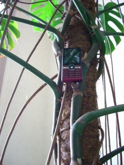 Обзор Sony Ericsson Naite (J105)