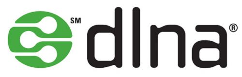 dlna-logo.jpg