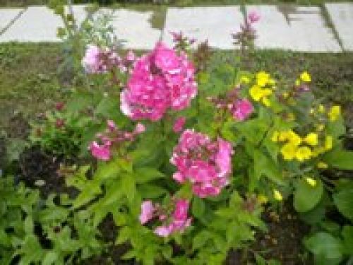 Nokia N86 8Мп – кто на новенького?