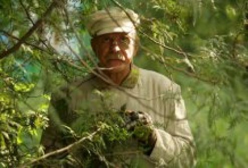 &laquo;Цитадель&raquo;: остаточные судороги