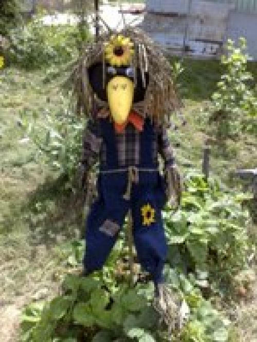 Личный опыт – Nokia N95