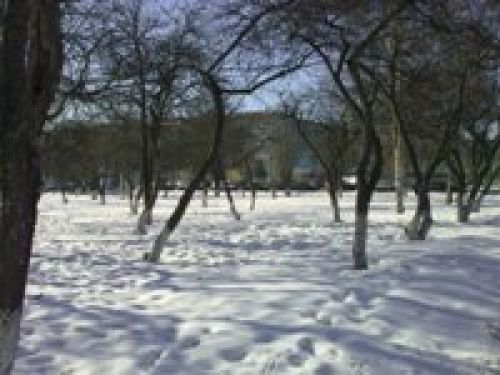 Nokia 5530: Мой милый финн