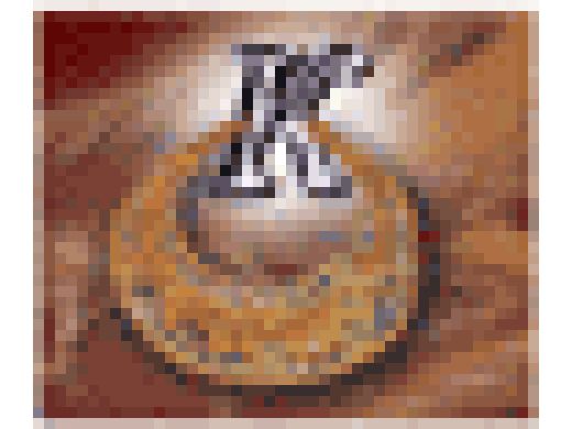 Спутниковое телевидение Житомир