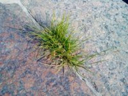 Обзор Sony Ericsson Naite (J105) Обзор Sony Ericsson Naite (J105)