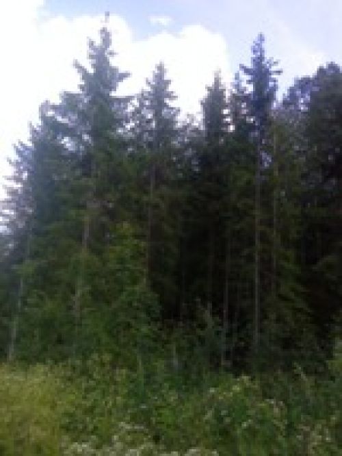 Обзор Sony Ericsson T715 Обзор Sony Ericsson T715