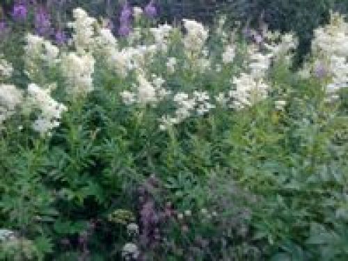 Обзор Sony Ericsson T715 Обзор Sony Ericsson T715