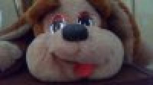 Sony Ericsson Vivaz - примеры фото