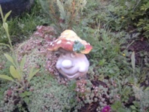 Обзор мобильных телефонов Samsung S5230 и S5600 - сенсорные "близнецы" Обзор мобильных телефонов Samsung S5230 и S5600 - сенсорные "близнецы"