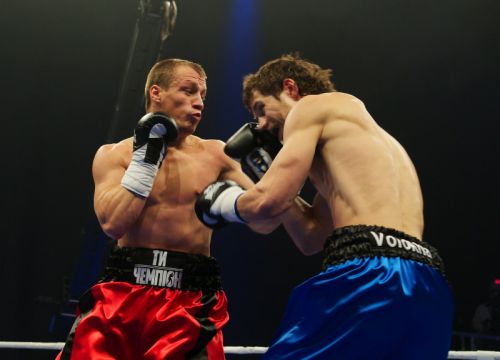 Шоу ти чемпіон