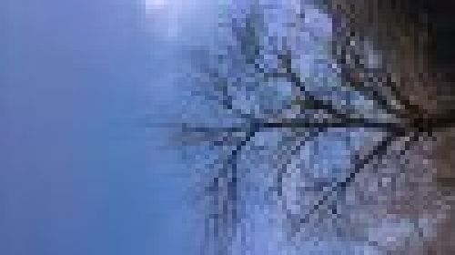 Sony Ericsson Vivaz - примеры фото