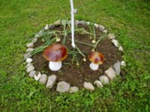 Nokia N86 8Мп – кто на новенького?