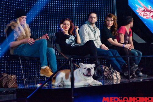 СТБ, Кензов, кривошапко, монатик, звездный ринг