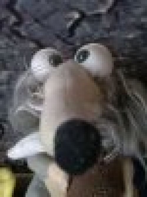 Sony Ericsson Vivaz - примеры фото