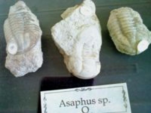 Обзор Sony Ericsson Naite (J105) Обзор Sony Ericsson Naite (J105)