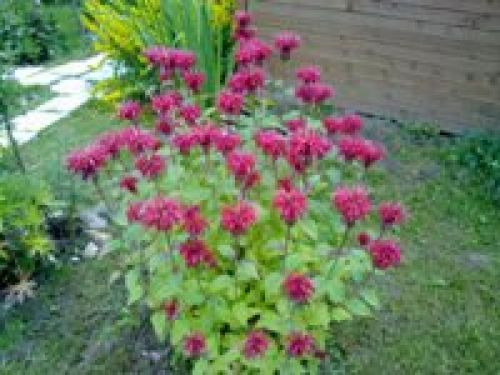 Nokia N86 8Мп – кто на новенького?