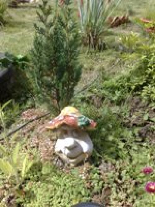 Личный опыт – Nokia N95