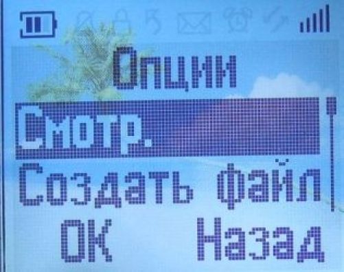 Alcatel OT103: телефон за 10 евро. Alcatel OT103: телефон за 10 евро.