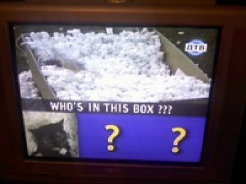 Обзор коммуникатора Acer Х960 Tempo – могучий гаджет Обзор коммуникатора Acer Х960 Tempo – могучий гаджет