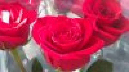 Sony Ericsson Vivaz - примеры фото