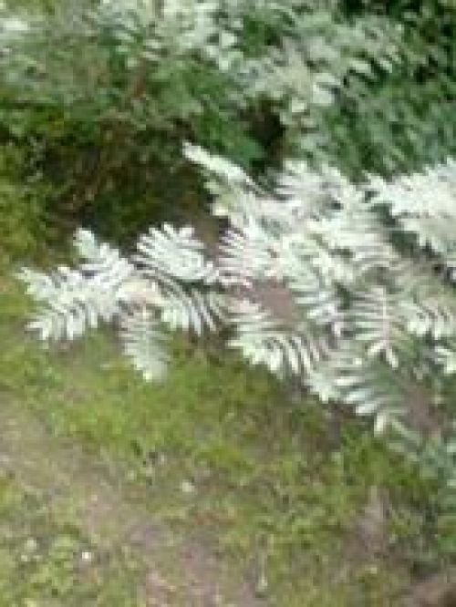 Обзор Nokia 5130 XpressMusic – музыка в цвете Обзор Nokia 5130 XpressMusic – музыка в цвете