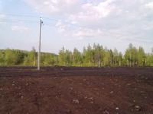 Между Nokia и Nokia: 5530 vs 5230 Между Nokia и Nokia: 5530 vs 5230