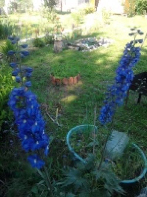 Обзор мобильных телефонов Samsung S5230 и S5600 - сенсорные "близнецы" Обзор мобильных телефонов Samsung S5230 и S5600 - сенсорные "близнецы"