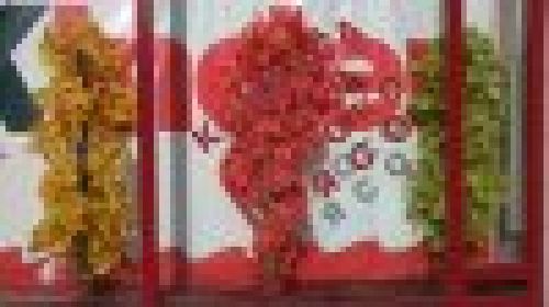 Sony Ericsson Vivaz - примеры фото