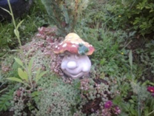 Обзор мобильных телефонов Samsung S5230 и S5600 - сенсорные "близнецы" Обзор мобильных телефонов Samsung S5230 и S5600 - сенсорные "близнецы"