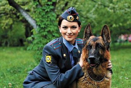 В первых сериях «Возвращение Мухтара» использовали наработки харьковчан (на фото герои фильма: следователь Василиса и отважный пес).