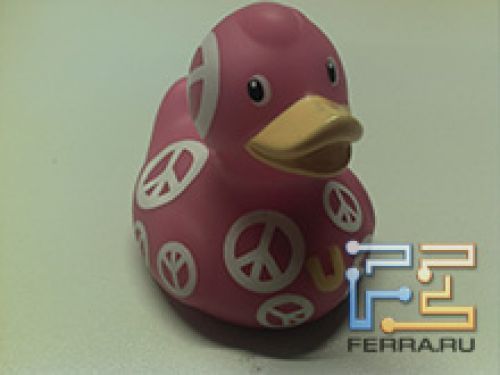 Примеры снимков, сделанных камерой Highscreen Hippo