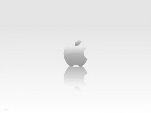 Официальные продажи iPad mini в России начнутся в середине января