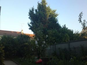 7 преимуществ Sony Ericsson Satio