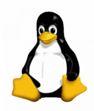 Linux в кармане: немного мобильных пингвинах