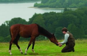 Рецензия на фильм «Боевой конь»