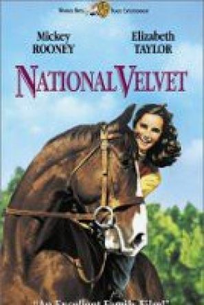 Сценарий «Национального бархата» ушел с молотка за $170,5 тысяч