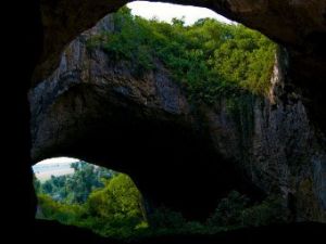 Создатели "Неудержимых 2" рассердили защитников природы