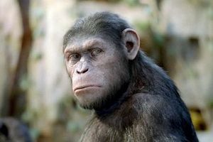 Фильм «Восстание планеты обезьян» преподнес сюрприз в Америке